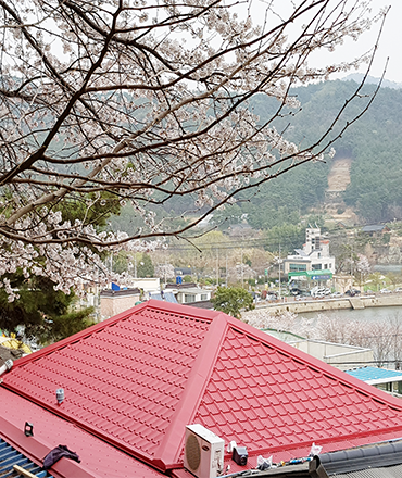 지붕개량,부산시지붕공사,선두구동지붕공사,칼라강판,포스코칼라강판,포스코강판,포스코정품,징크,리얼징크,옥상방수,현대강판,현대상사